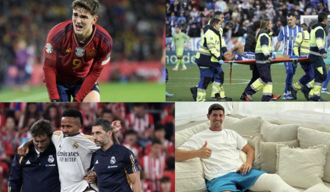 津门虎引援 津门虎引援